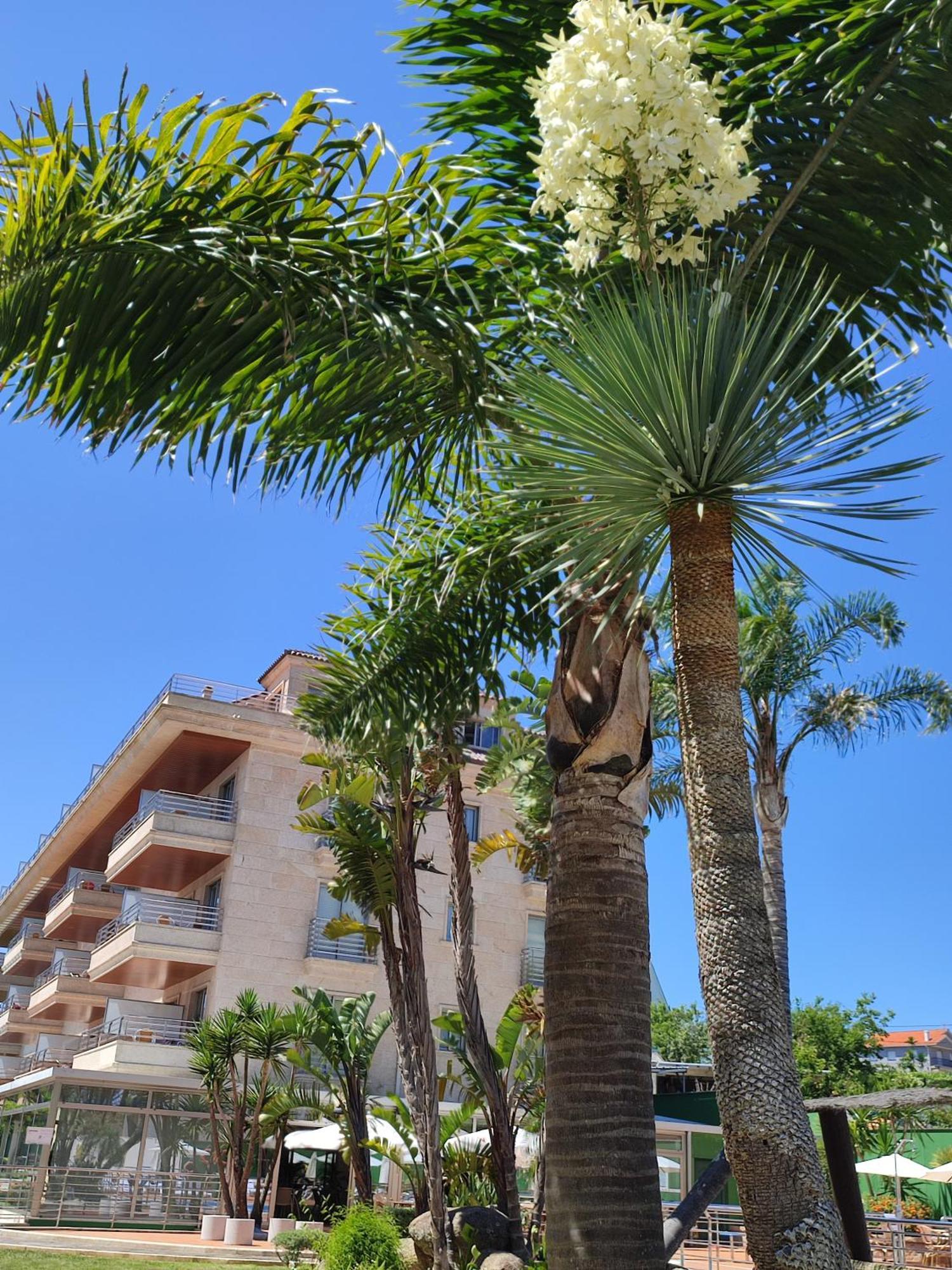 Apartamentos Marsil Montalvo Dış mekan fotoğraf