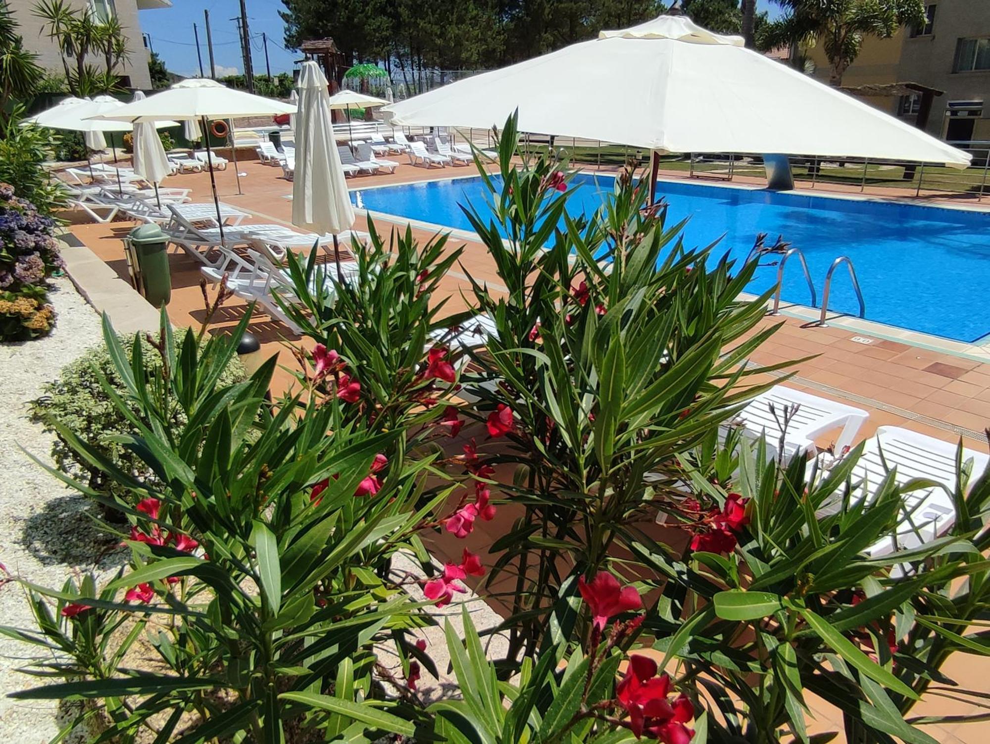 Apartamentos Marsil Montalvo Dış mekan fotoğraf