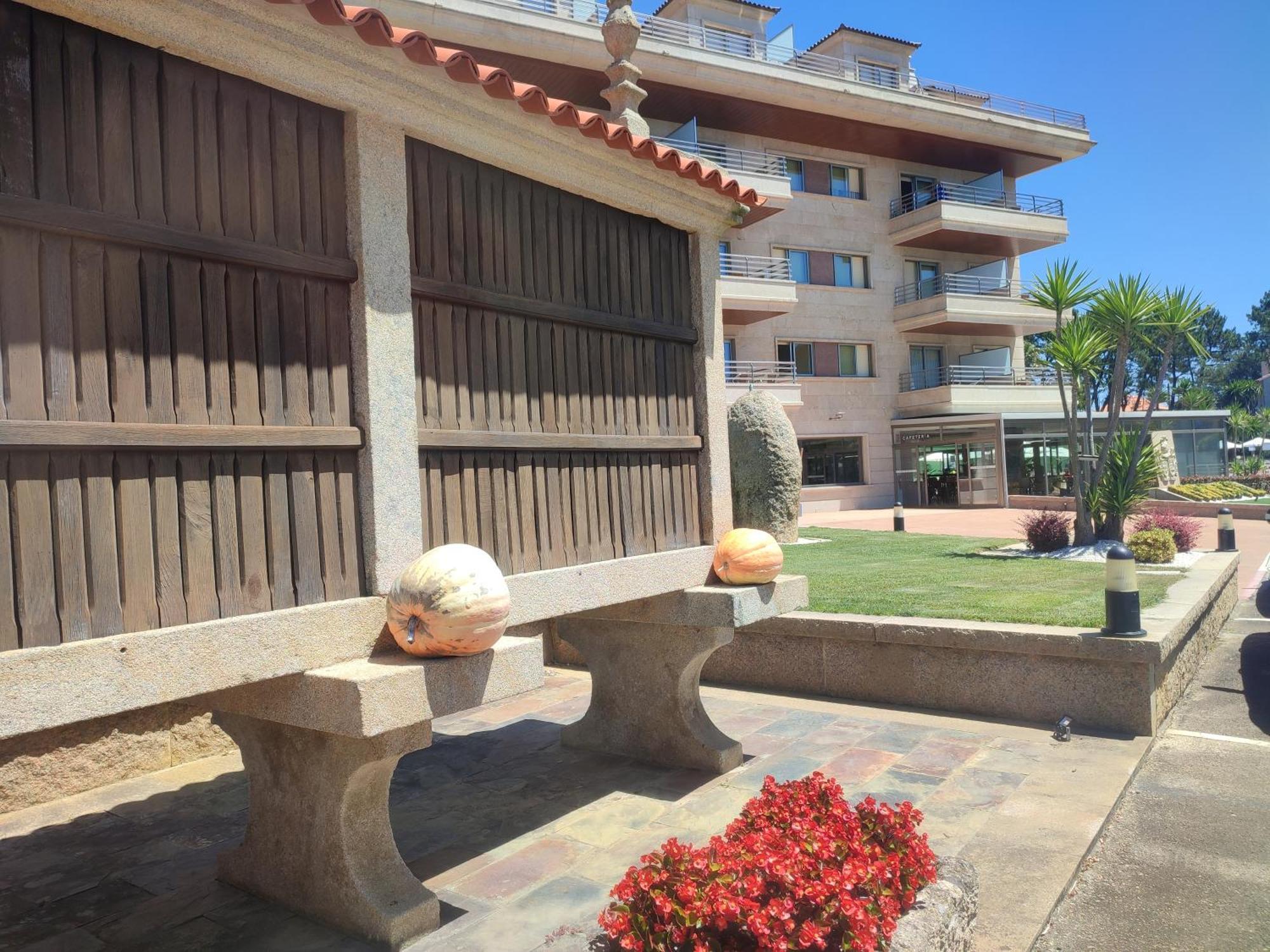 Apartamentos Marsil Montalvo Dış mekan fotoğraf
